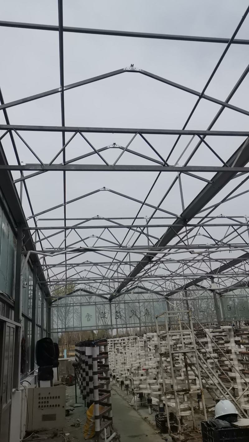 智能温室设计建造施工