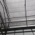 智能温室设计建造施工