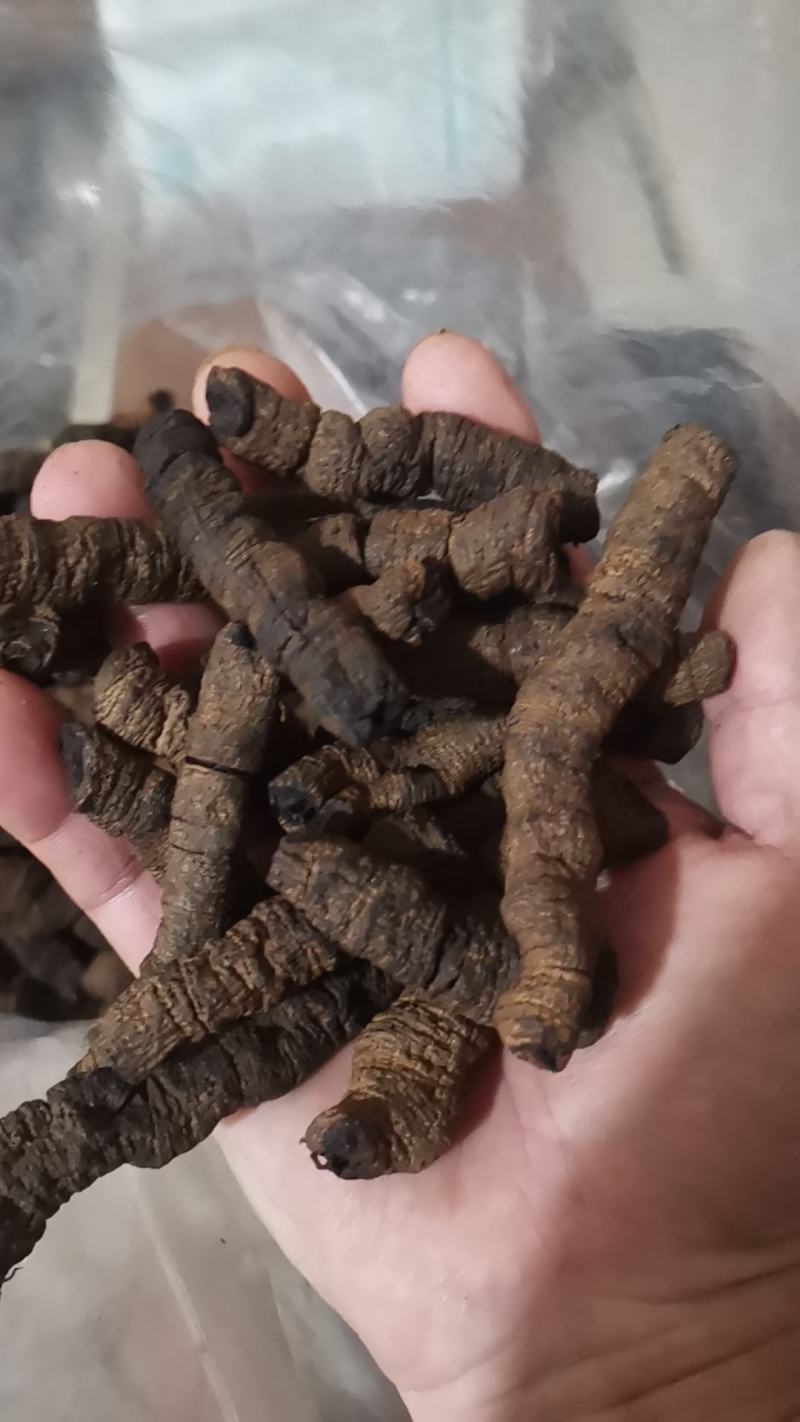 三蒸三晒标头肉