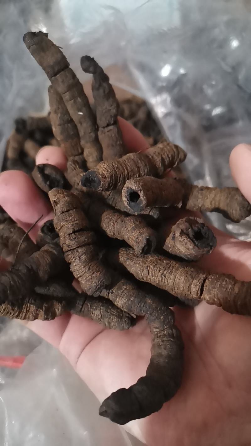 三蒸三晒标头肉