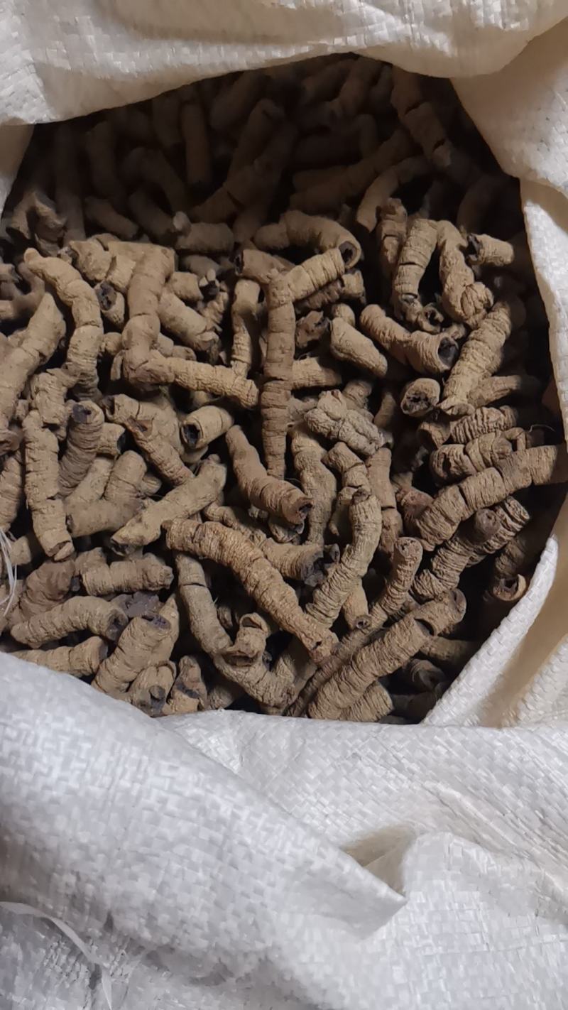 三蒸三晒标头肉