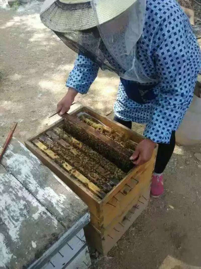 农家自产蜂蜜源自深山纯正天然，农家直发，优质供