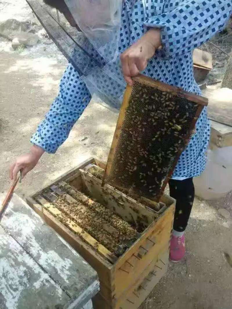 农家自产蜂蜜源自深山纯正天然，农家直发，优质供