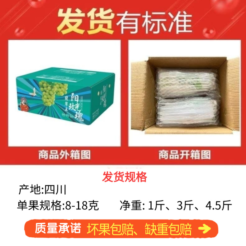 2025现货阳光玫瑰无籽葡萄电商一件代发