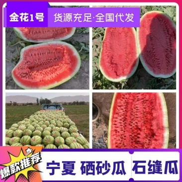 [实力推荐]硒砂瓜金城系列金花系列全国代发产地直发