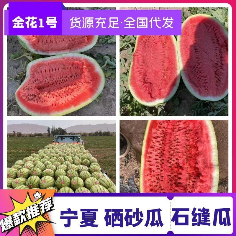 [实力推荐]硒砂瓜金城系列金花系列全国代发产地直发