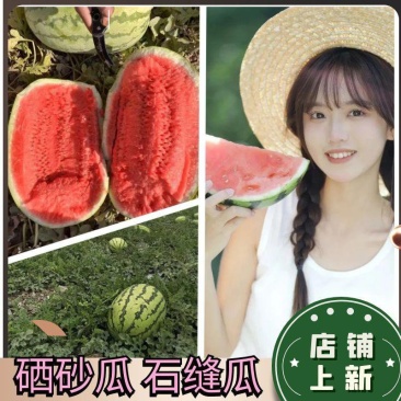 【实力推荐】精品硒砂瓜石头瓜金城5产地直发量大从优