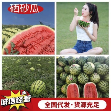 「实力推荐」宁夏硒砂瓜石头瓜金花系列金城系列产地直发