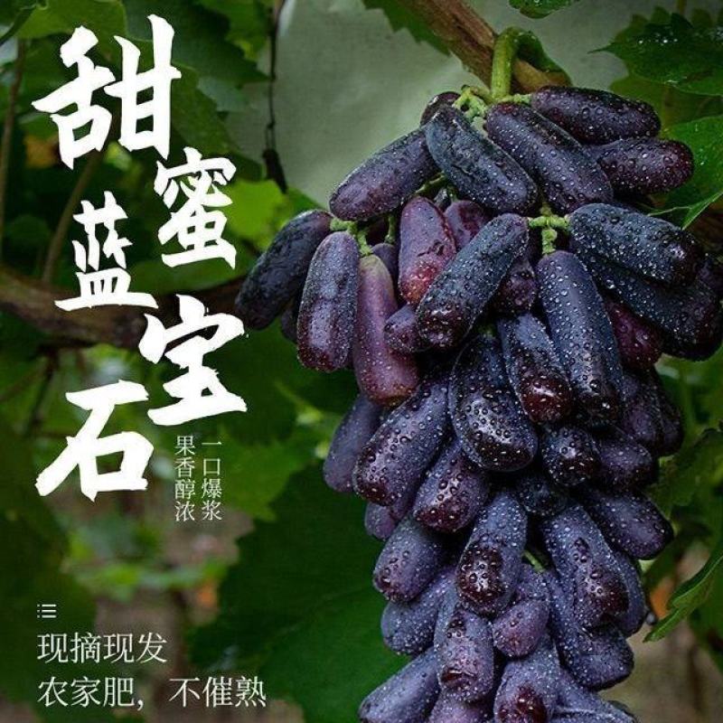 蓝宝石葡萄金手指葡萄电商一件代发顺丰包邮
