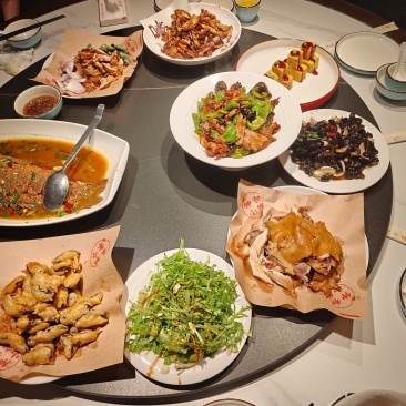 酸枣苗