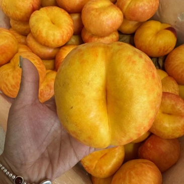 油潘七，电商油潘桃，油潘桃，