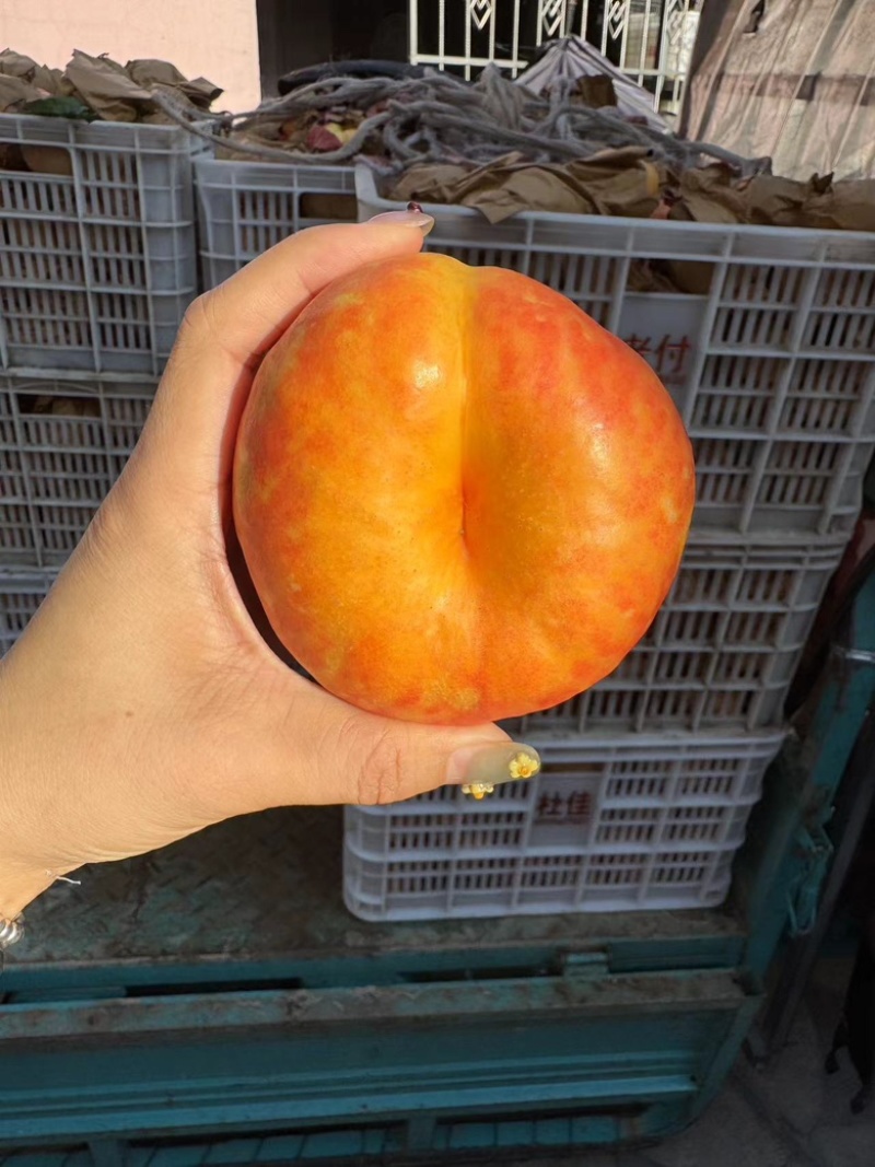 油潘七，电商油潘桃，油潘桃，
