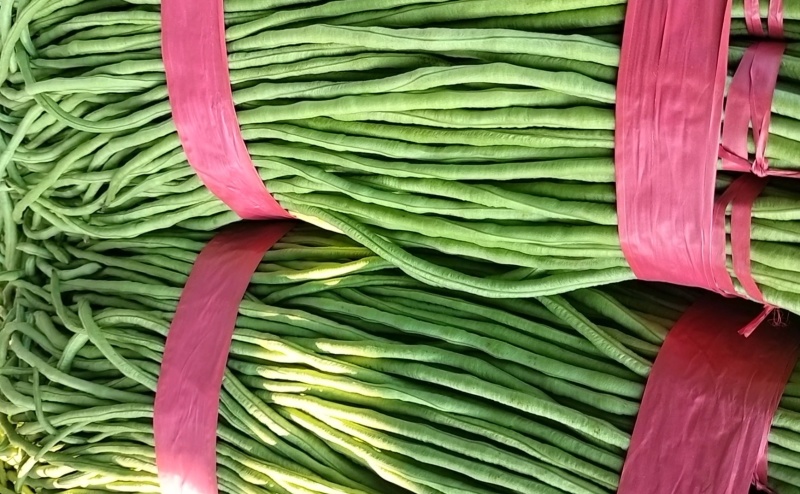 河南汝州青长豆角大量上市常年种植品质好价格低