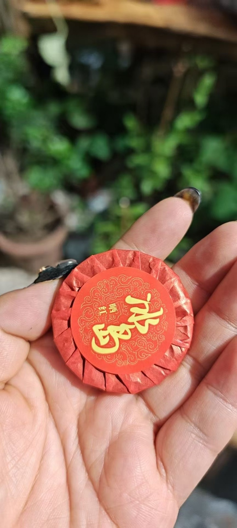 都是龙珠等老茶系列，品质好，品质好，价格便宜