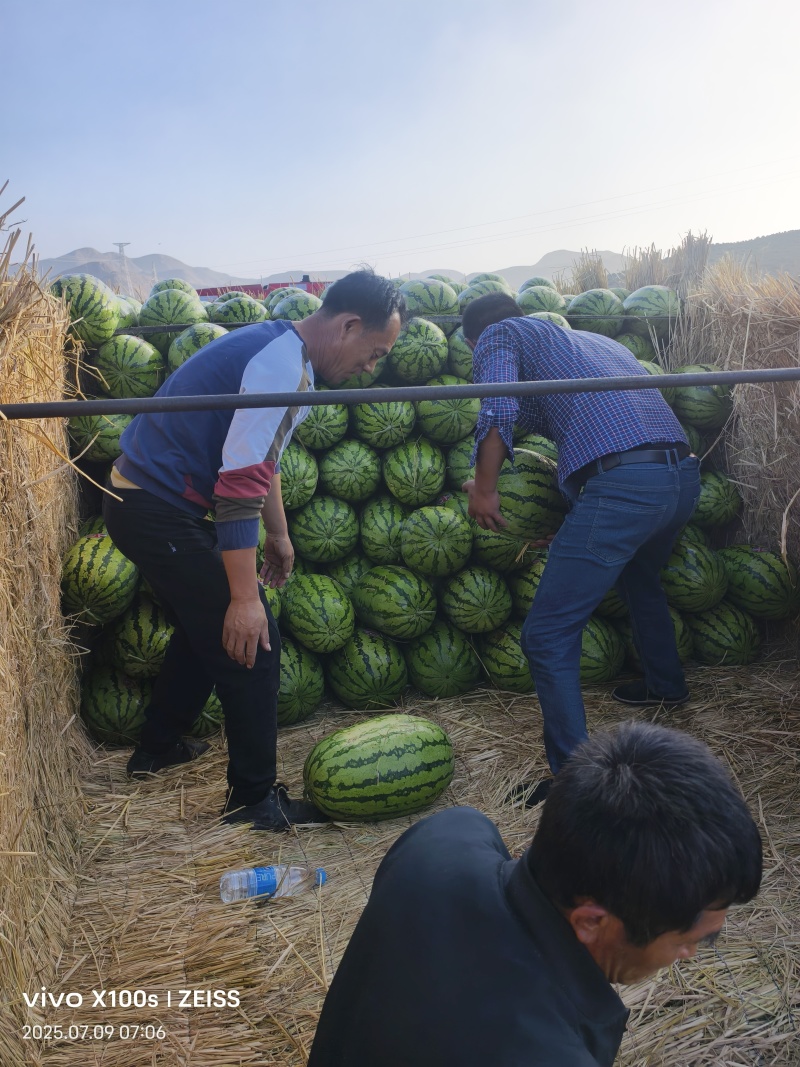 宁夏硒砂瓜大量上市，欢迎新朋友前来选购