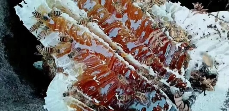 百花蜜