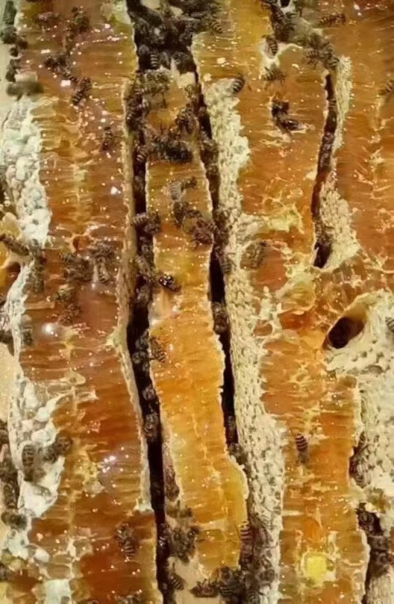 百花蜜