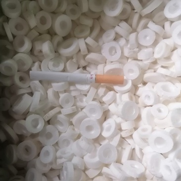 云南野生大通草片