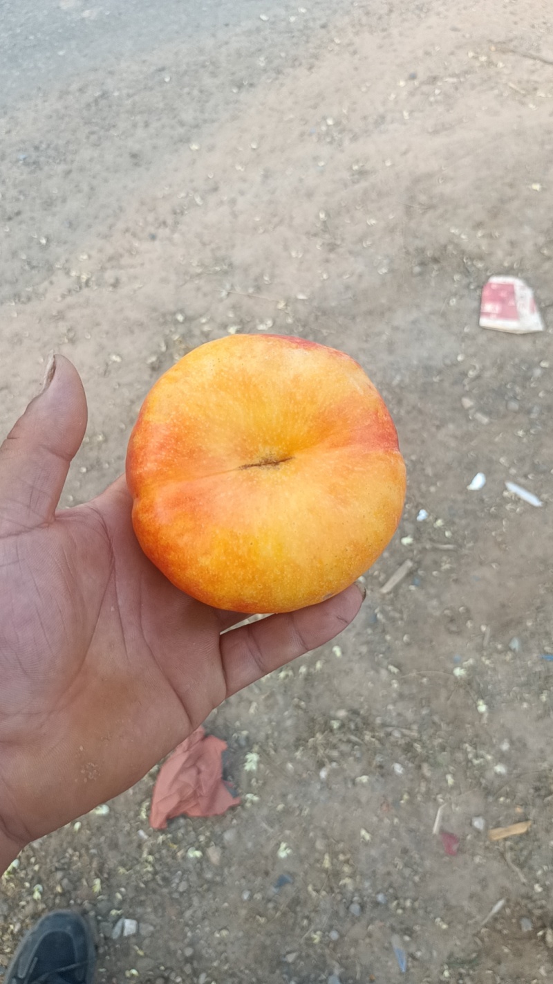 闷袋走的黄金潘九，要玉，早14大量有货！