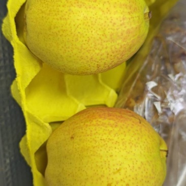 香酥梨