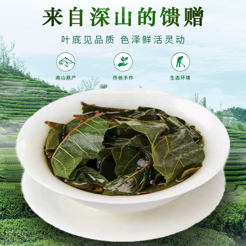 修水青钱柳原叶青钱柳江西青钱柳金钱柳茶采摘的