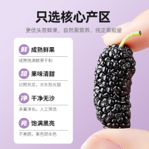 黑桑葚干正宗新鲜大颗粒黑桑椹果无硫免洗即食泡茶水喝