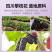 黑桑葚干正宗新鲜大颗粒黑桑椹果无硫免洗即食泡茶水喝