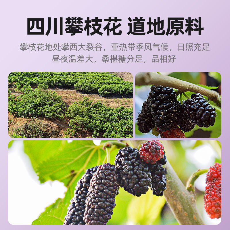 黑桑葚干正宗新鲜大颗粒黑桑椹果无硫免洗即食泡茶水喝