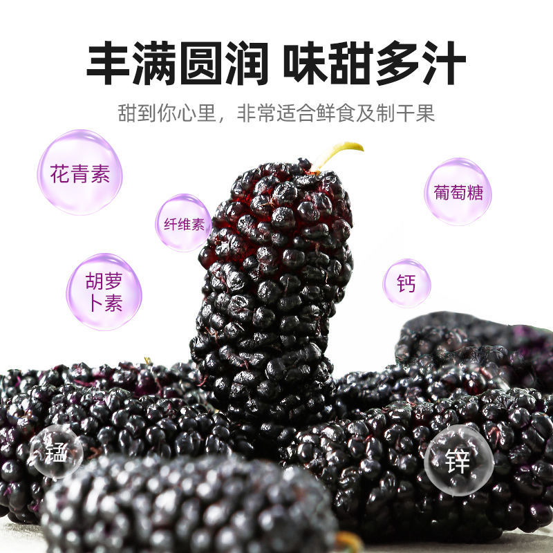 黑桑葚干正宗新鲜大颗粒黑桑椹果无硫免洗即食泡茶水喝