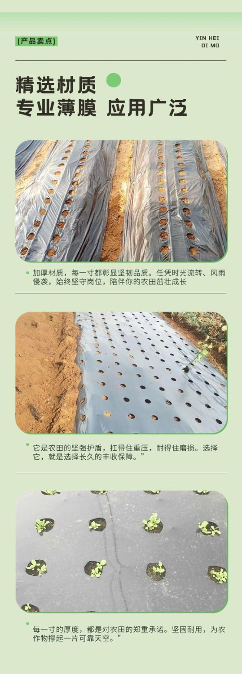 销售各种规格的打孔地膜银黑黑色白色可定制
