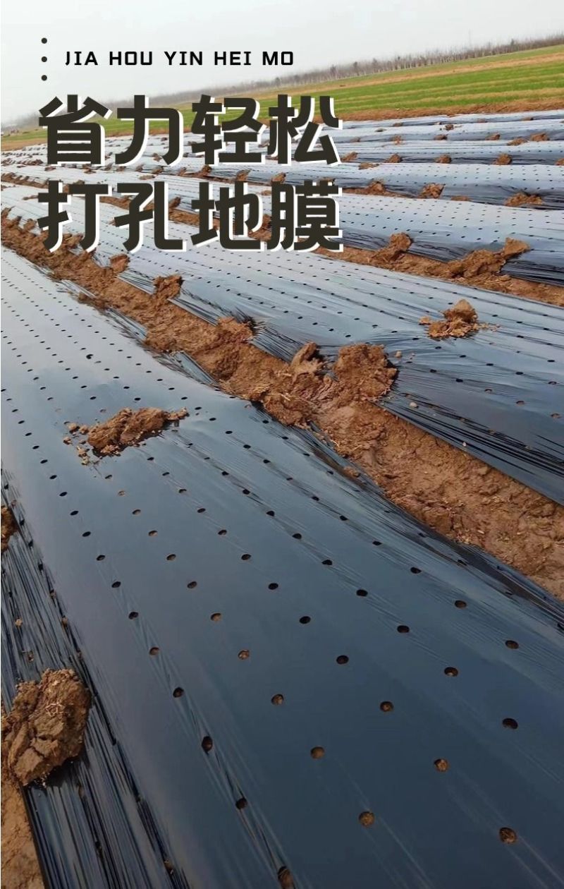 销售各种规格的打孔地膜银黑黑色白色可定制
