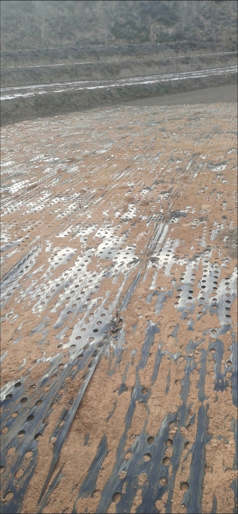 销售各种规格的打孔地膜银黑黑色白色可定制