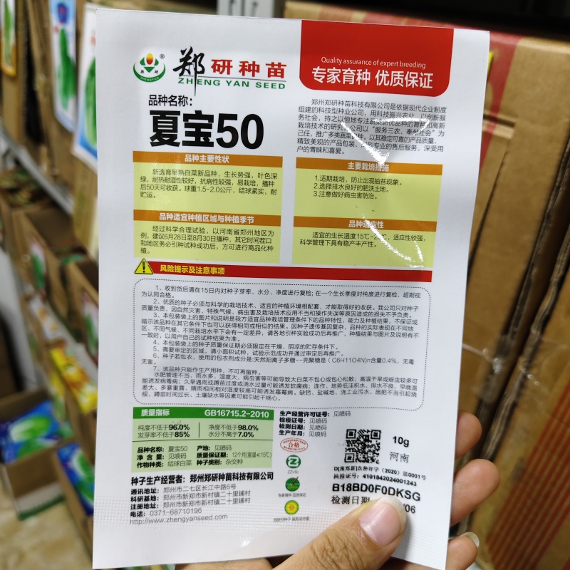 郑研种苗夏宝50天大白菜种子早熟夏阳白菜种籽夏季抗热结球