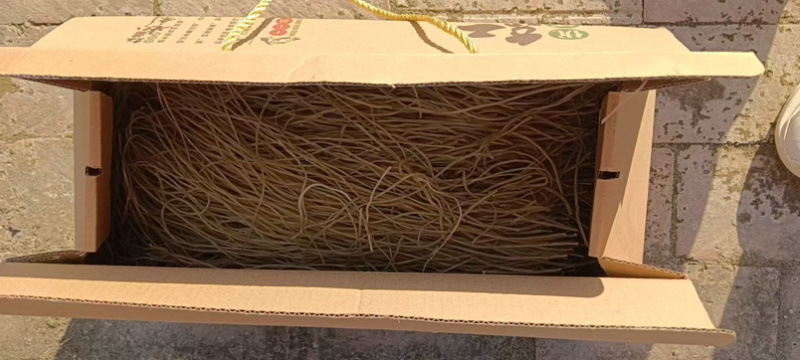 红薯粉条