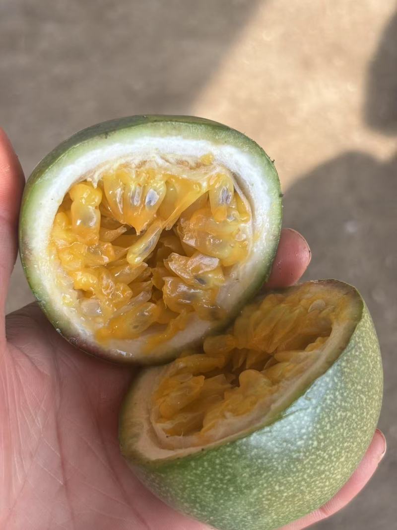 紫香农台一号百香果