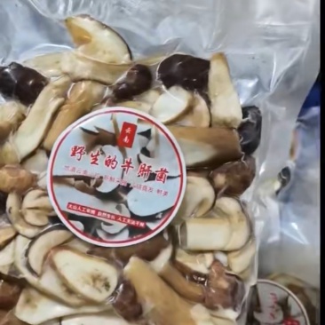 冰鲜野生菌