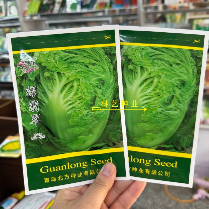绿翡翠大白菜种子高产抗病耐热耐寒农家菜园家庭种植蔬菜种子