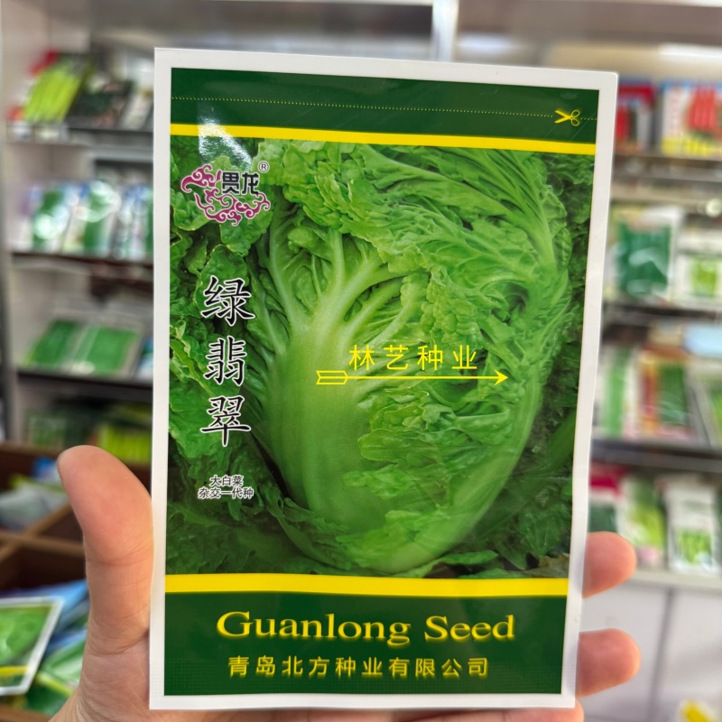 绿翡翠大白菜种子高产抗病耐热耐寒农家菜园家庭种植蔬菜种子