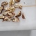 大油一号紫皮白皮