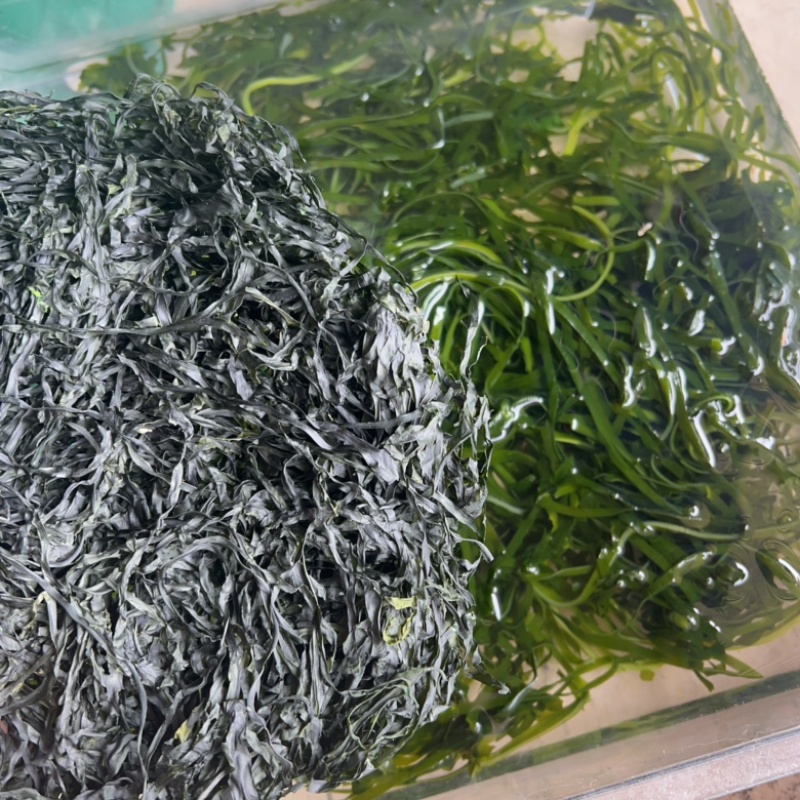 烘干海带丝地摊电商批发海带头圈圈海带丝海带干海带