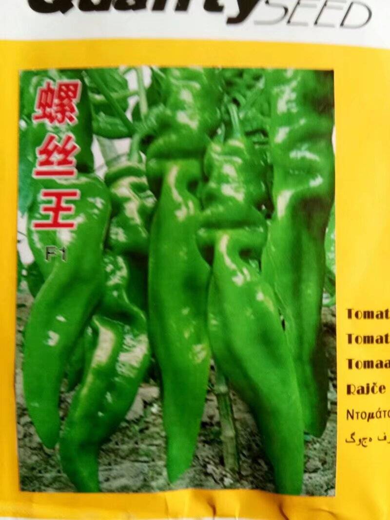 黄线椒苗，螺丝椒苗薄皮椒苗，牛角椒苗，苗场直发，一级苗子