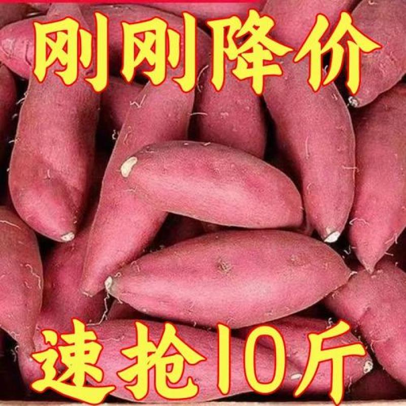 正宗黄心蜜薯超甜蜜薯软糯地瓜番薯红芋新鲜现挖