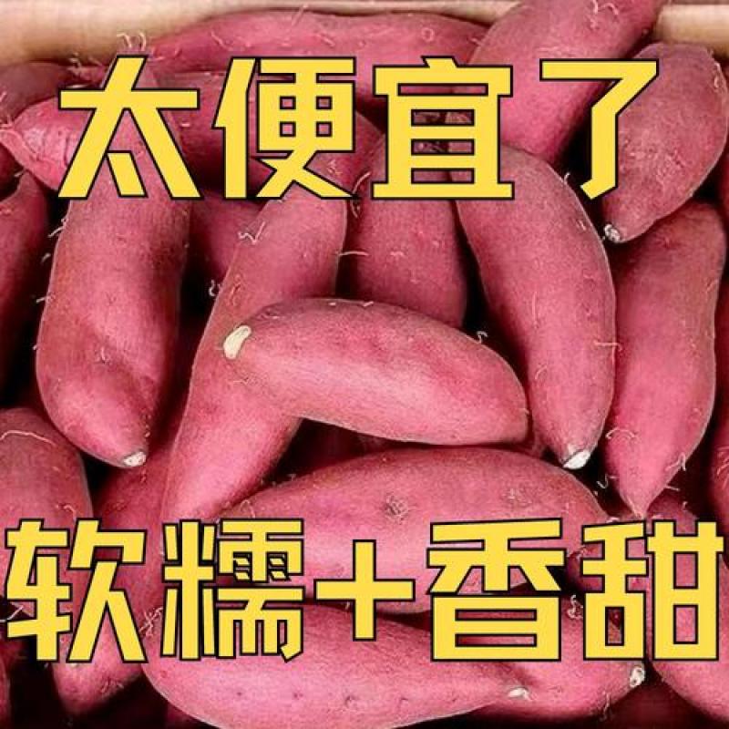 正宗黄心蜜薯超甜蜜薯软糯地瓜番薯红芋新鲜现挖
