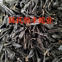 蛇胆，干蛇胆，养殖基地直销干蛇胆，市场电商销量**