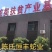 蛇胆，干蛇胆，养殖基地直销干蛇胆，市场电商销量**