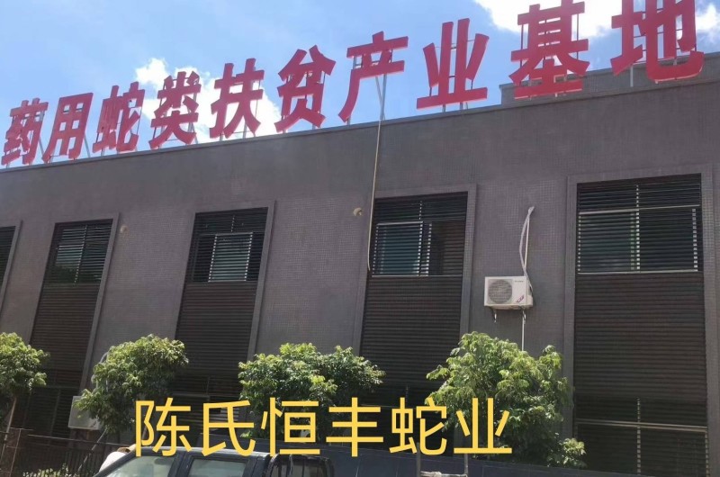 蛇胆，干蛇胆，养殖基地直销干蛇胆，市场电商销量**