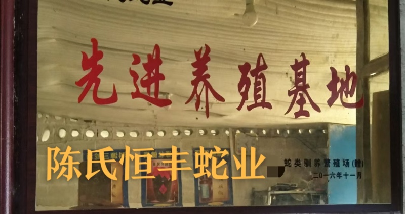 蛇胆，干蛇胆，养殖基地直销干蛇胆，市场电商销量**