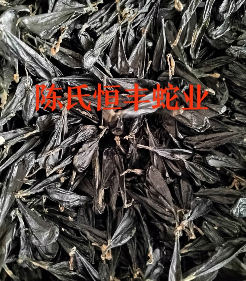 蛇胆，干蛇胆，养殖基地直销干蛇胆，市场电商销量**