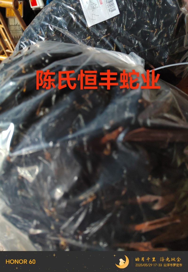 蛇胆，干蛇胆，养殖基地直销干蛇胆，市场电商销量**