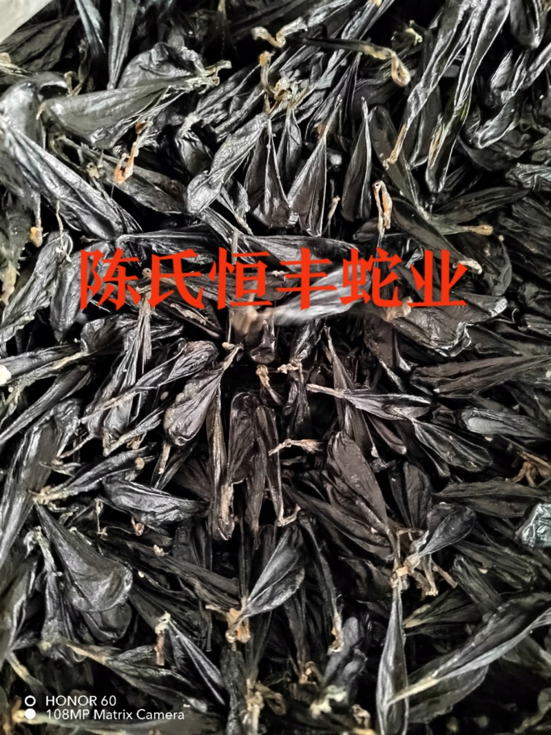 蛇胆，干蛇胆，养殖基地直销干蛇胆，市场电商销量**